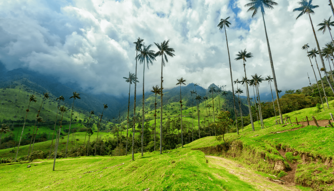 Colombia (4)