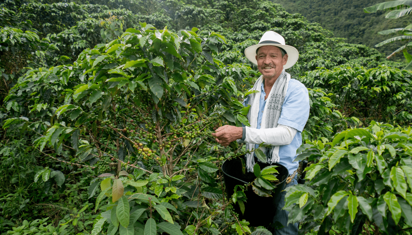 Colombia (5)